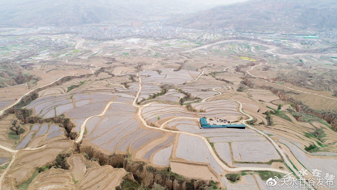 今日软文推广特色化设计您的商品橱窗:24小时不间断曝光的秘密,快抖音涨赞业务网站平台：助力内容创作者高效提升作品互动